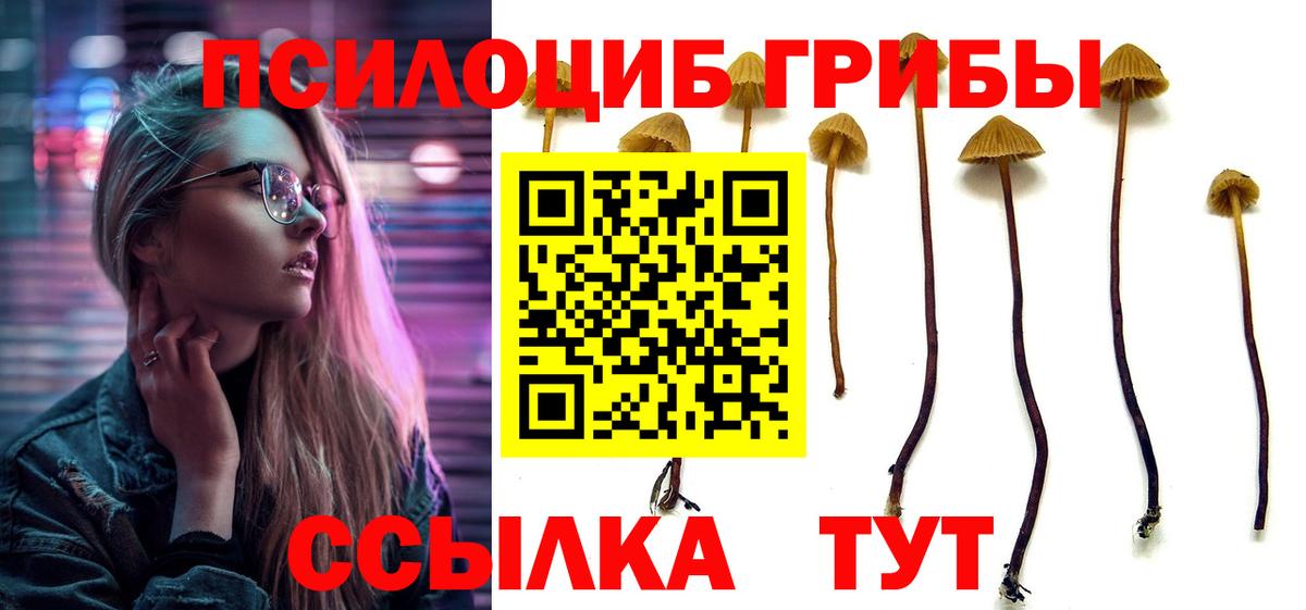 Ачинск  Галлюциногенные грибы прущие грибы  Вход с VPN 
